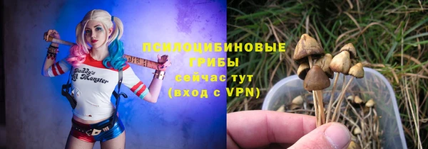 ECSTASY Бронницы