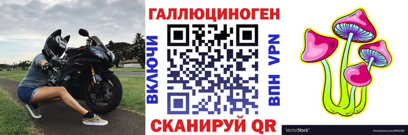 Галлюциногенные грибы прущие грибы  Кашин 
