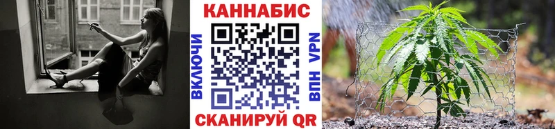 мега сайт  Кашин  Бошки Шишки план 